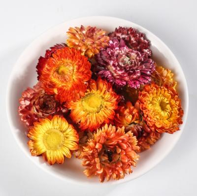 China Infusion With Water Wholesale Colorful Healthy Loose Tea Popular Chrysanthemum Sweet for sale