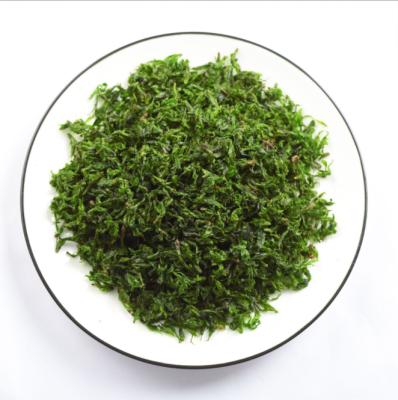 China Water Green Tea Green Ligustrum lucidum OEM wholesale small leaf tea kuding healthy mountain tea cans for sale