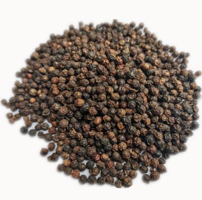 China High quality dry Chinese spices and high quality black pepper herbs for sale