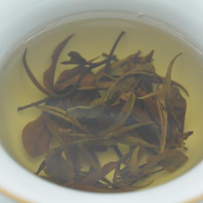 China Fatbud Fermented New Amber Color Normal Mellow White Wilt Tea for sale