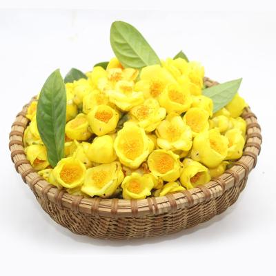 China Hot Selling Dry Golden Camellia Queen Tea Whole Golden Camellia Tea Beautiful for sale