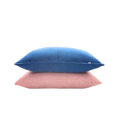 China New Design Anti-Static Hot Selling In Ebay Hot In Winter Velvet Cushion Velvet Pillow Case In Living Room for sale