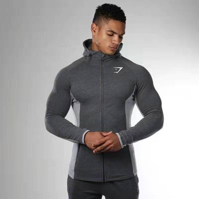 China QUICK DRY Autumn And Winter Stretch Tights Outdoor Sports Hooded Cardigan Gym Jacket for sale