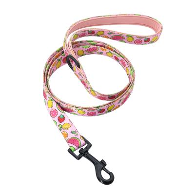 China Custom Personalized Sublimation Long Dog Leash Polyester 5FT Puppy Leash For Wholesale for sale