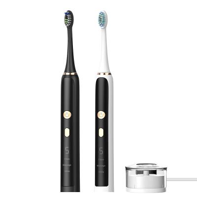 China SG2015 Seago Deep Clean Electric Sonic Toothbrush For Adult Multifunctional Eco-Friendly Rotary RECHARGEABLE Sonic Toothbrush Oral Care for sale