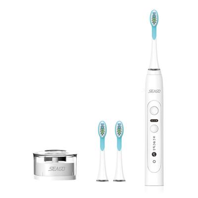 China OEM SG982 Rechargeable Tooth Whitening Automatic Toothbrush IPX7 Waterproof Comfortable For Adult for sale