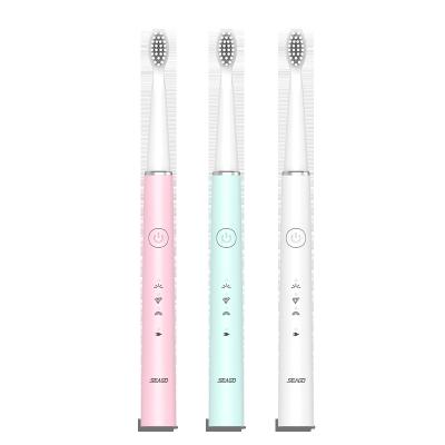 China Household Seago Electric Toothbrush, Sonic Power Toothbrush, 3 Effective Cleaning Modes, Cheap Sonic Toothbrush SG548 for sale