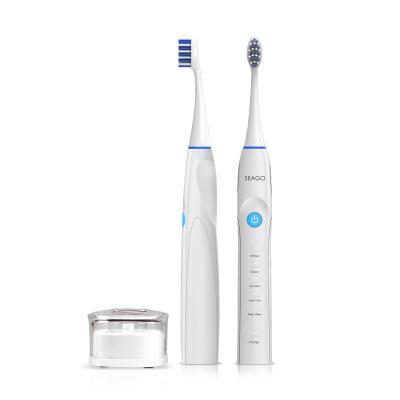 China Seago Rechargeable SG540-2 USB ON SALE Factory Price Patented USB Rechargeable Electronic Sonic Electric Tooth Brush for sale