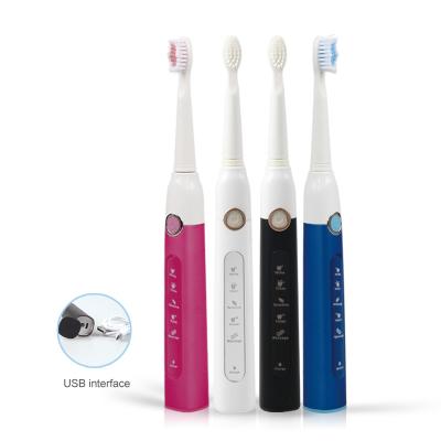 China SEAGO SG507F Rechargeable Electric Sonic USB Rechargeable Waterproof Toothbrush Chinese Manufacturer for sale