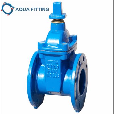 China General Resilient Seated Stem Malleable Iron DIN3352 F4 F5 Non-Rising Gate Valve for sale