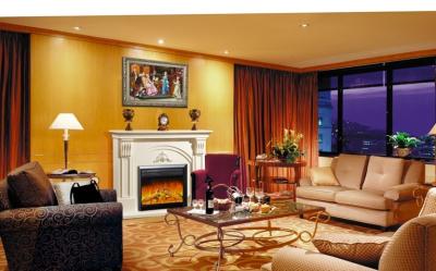 China Customize Freestanding Living Room Fireplace Electric Heaters Adjustive Flame for sale