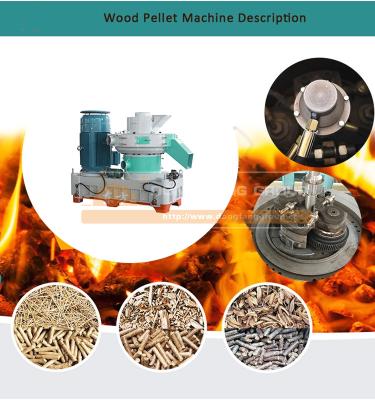 China Plant New Ring Type Die Pellet Mill Wood Sawdust Pellet Mill for sale