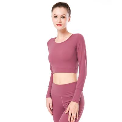 China Breathable Sports Crop Casual Skinny Long Sleeve Anti Static Elastic Tops Crewneck T-Shirts For Woman Gym Shirt for sale