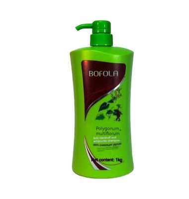 China BOFOLA Color-Protection Brand Polygonum Multiflorum Shampoo, Natural Silicone Free Formula, Oil Control, Dandruff Removal, Repairing, Proper Fo for sale