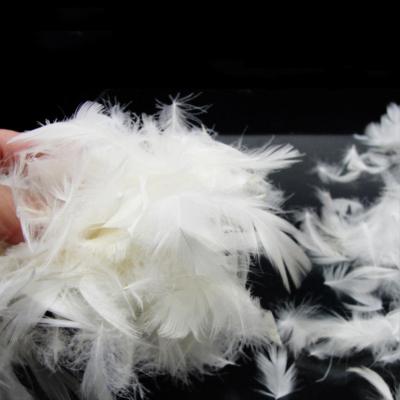 China Soft washed 2-4cm white 100% goose feathers for sale comforter quilt filling material for sale