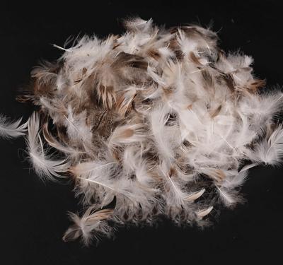 China Soft Best Selling Cheap Goose Feather Down For Duvet Pillow Filling Material for sale