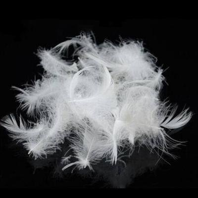 China Good Soft Duvet Comforter Filling Low MOQ Washed 2-4cm Natural White Duck Feather for sale