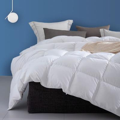 China 100% Cotton Duvet Insert Quilted Comforters White Queen To Size All Season Down Alternative Bedding Comforter for sale