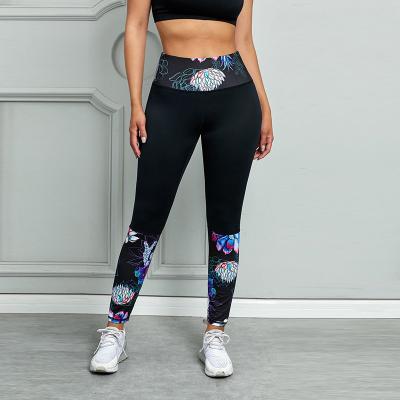 China New QUICK DRY Yoga Pants Hit Color Draw Fitness Sports Tight Fit Running Pants For Women for sale