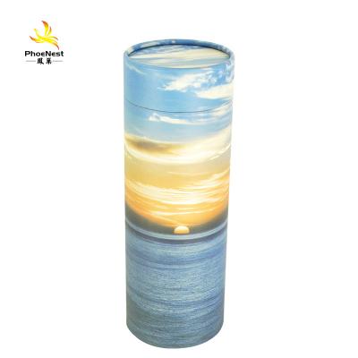 China Waterproof Cremation Urns Logo Customized European Style 1pc/carton Paper Tube Cheap European Pet Scatter Style Urn for sale