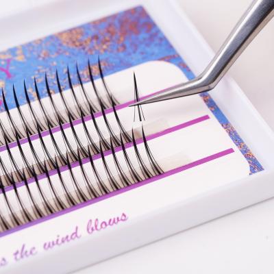 China Natural Long 0.07mm C Curl Russian 6D Volume Lashes Premade Volume Fan Lashes Group Eyelash Lashes Wholesale for sale