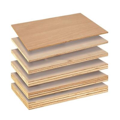 China Modern Construction Factory Sale Various Widely Used Birch Plywood Plywood For Workshop for sale