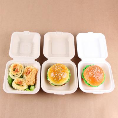 China Disposable Eco Friendly Compostable Food Box Sugarcane Pulp Clamshell Biodegradables Packaging for sale