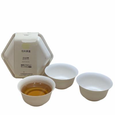 China Sustainable Disposable Bagasse Paper Biodegradable Sugar Cane Travel Tea Set Compostable Teapot for sale