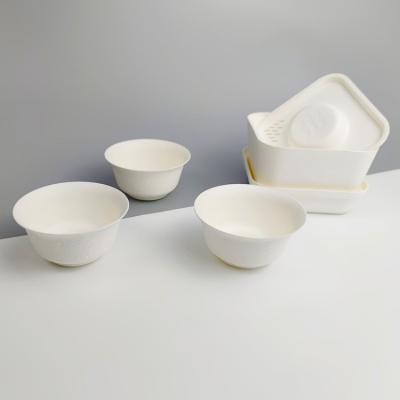 China Sustainable Disposable Bagasse Paper Biodegradable Sugar Cane Travel Tea Set Compostable Teapot for sale