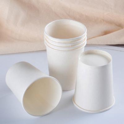 China Custom Double Wallpaper Biodegradable Biodegradable Cup Makers Paper Cup 12 Ounces High Quality for sale