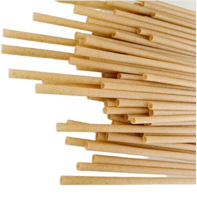 China Biodegradable Straw Agave Sugarcane Bagasse Eco Friendly Disposable Straws Straw Sugarcane Pla Household Biodegradable Drinking Straws for sale