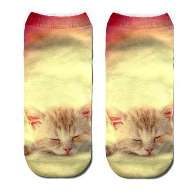 China New Cartoon Cat Art Antibacterial Socks Hot Sale 3d Printed Women's Socks Low Cut Short Ankle Sports Socks for sale