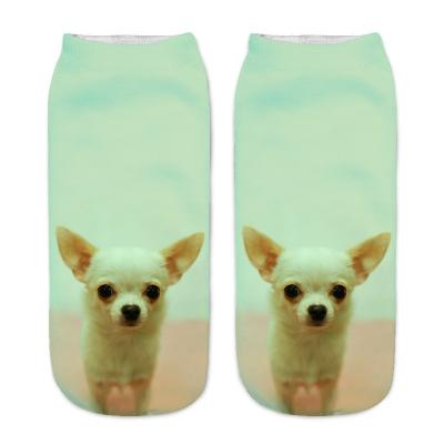 China Anti-Fault Cropped Ankle Cut Sporty Socks Cartoon Doggy Art Socks Hot Sale 3d Printed Women's Socks for sale