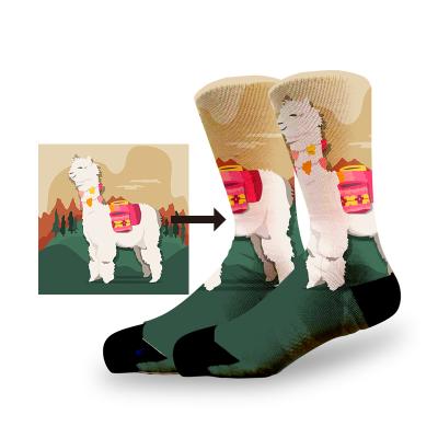 China Antibacterial Custom 3d Printed Socks Fashion Design Mens Womens 3D Socks Sublimation Custom Printed Socks for sale