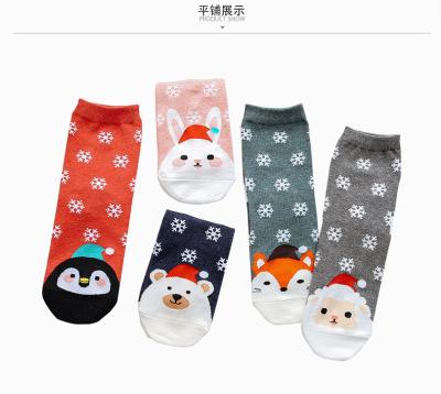 China Women Girls Antibacterial Warm Happy Animal Colorful Cartoon Cute Funny Cotton Socks for sale