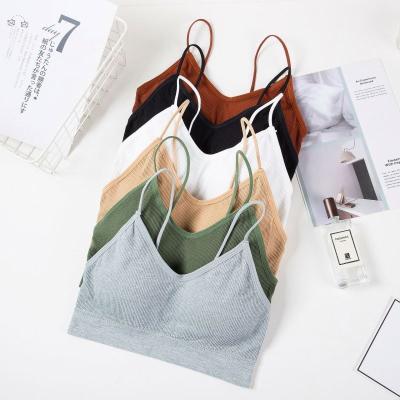 China New arrival yhy seamless bra QUICK DRY printed with big discount for sale