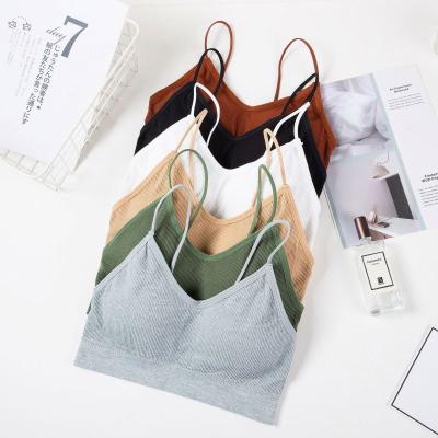 China High quality hot sales yhy luxury bra QUICK DRY wire free with strength store for sale