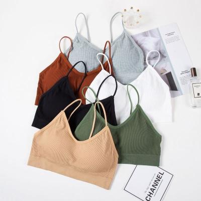 China yhy popular wireless cotton QUICK DRY popular women's large size bra with wholesaler for sale