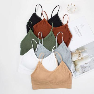 China New Listing QUICK DRY wireless women's bra soft yhy with big discount for sale