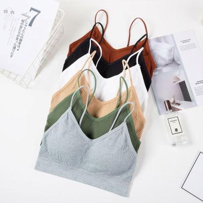 China Yiwu QUICK DRY high quality yhy seamless bra with favorable price for sale