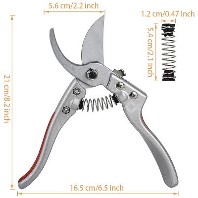 China Anti-Slip Handle Gardening Tools Pruner Pruner Pruning Scissors Bonsai Flower Cultivation Garden DIY Tools for sale