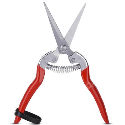 China Anti-Slip Straight Handle Stainless Steel Blade Pruning Cut Garden Tools Fruit Picking Weed for sale