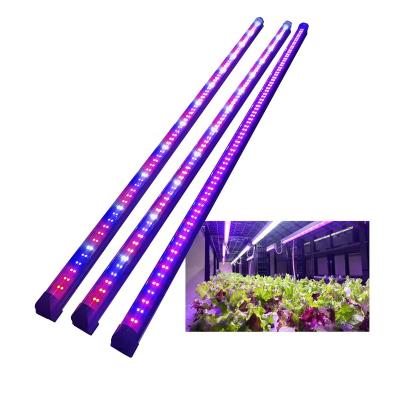 China Seed Seed Growing Plants 2ft 4ft 18w 6500k T5 Hydroponics Integrated Indoor LED Grow Tube Light for sale