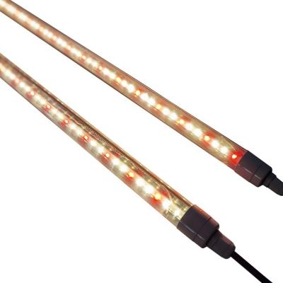 China Seed starting ip65 t8 t5 full spectrum led grow light 4 ft tube cold pure white 4ft 21w for indoor plants veg for sale