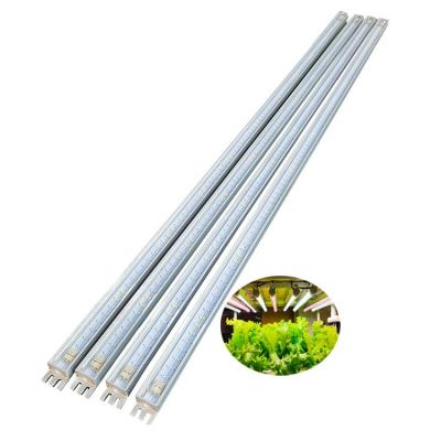 China Seed starting high power 40w phytolamp indoor veg flower stage led plant grow light strip for sale