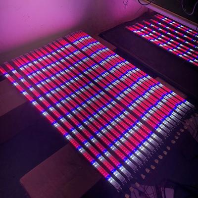 China Seed starting 850nm 660nm 620nm red smd 5730 plant led strip of rigids to grow for aquaponics for sale