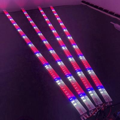 China Seed Starting Greenhouse Spectrum Waterproof Double Sided Led To Grow Light Bar for sale