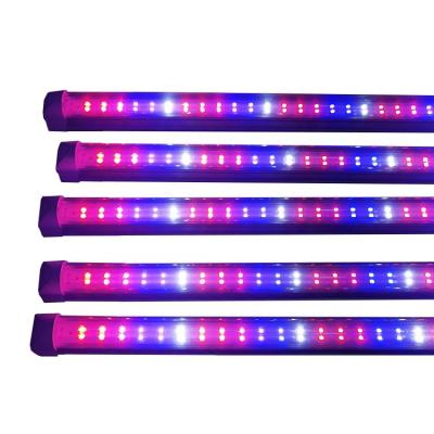 China Seed Starting High Power Led Strip Grow Lights Full Spectrum 730nm White Far Red For Indoor Greenhouse Hydroponics Plants Lettuce for sale