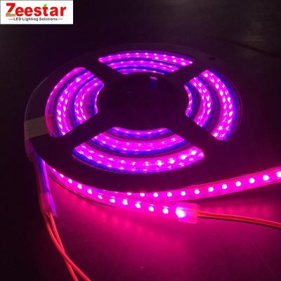 China Seed starting flexible dc 24 5050 volt 12v 24v smd 2835 led grow strip light for sale