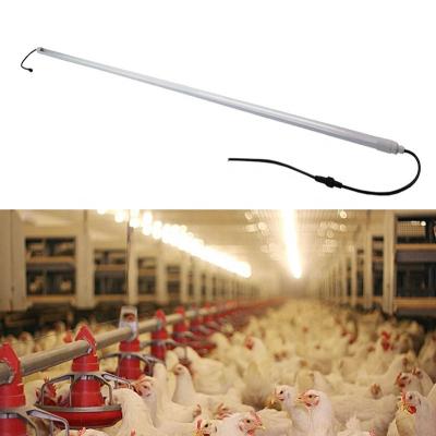 China dimmable poultry tube light ip67 220v 5ft 30w t8 t12 for pig house farm equipment light for sale